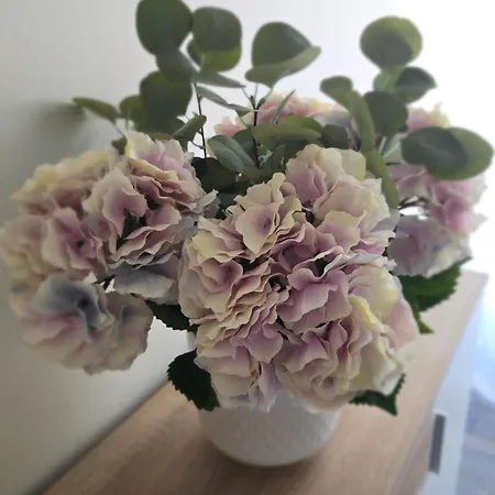 公寓 Aisa 派尔努